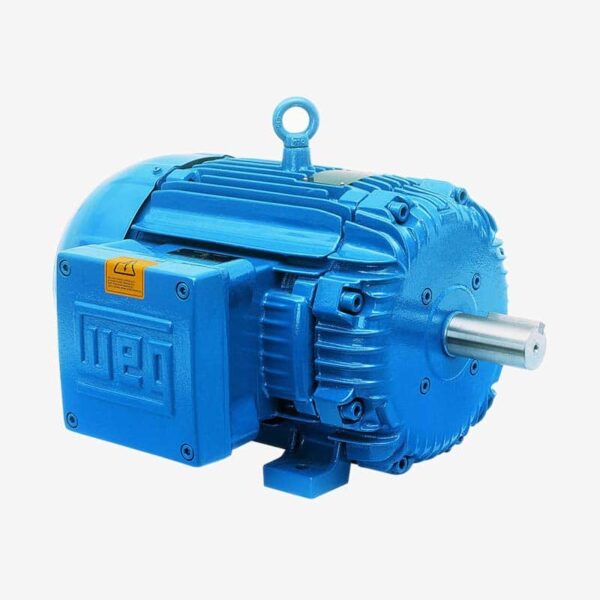 Motor_electrico_weg_Equipmaster