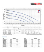 Curva rendimiento bomba sumergible pedrollo 220Vvxm 10 50 -Equipmaster