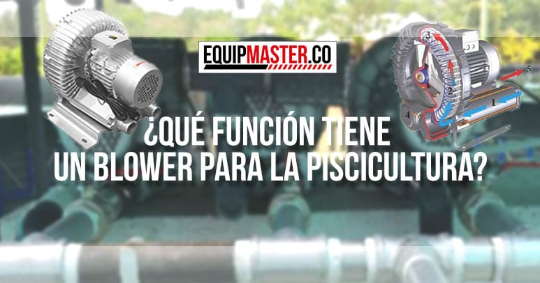 [Funcion-Blower-Equipmaster]