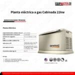 Planta Electrica a Gas GENERAC 7043 -Equipmaster