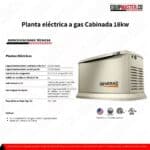 Planta Electrica a Gas GENERAC 7228 -Equipmaster