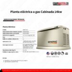 [ Planta_eléctrica_a_gas_Cabinada_14kw_7223_Equipmaster ]