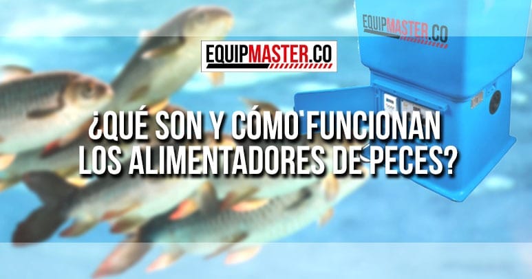 ¿Qué son y cómo funcionan los alimentadores de peces?