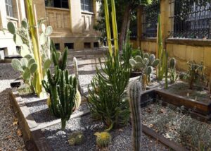 jardin-resiliente-Equipmaster.co