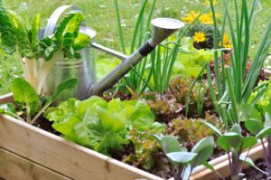 jardines-comestibles-Equipmaster.co