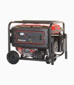 Planta Eléctrica WARRIOR R6000DP-8 -Equipmaster