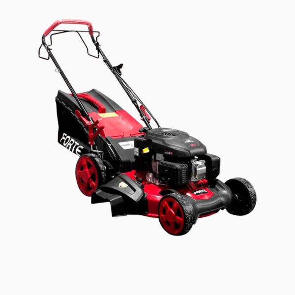 Cortacesped FORTE FLMB21 -Equipmaster