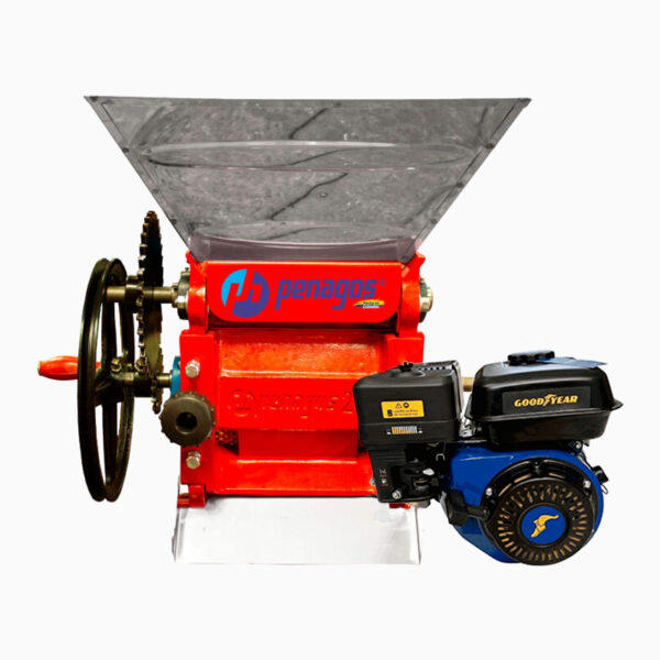 Despulpadora PENAGOS DH-2 1-2+ GYW2153RS Motor GOODYEAR - Equipmaster