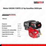 Motor GM390 FORTE 13 hp - Equipmaster